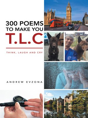 cover image of 300 Poems to Make You T.L.C